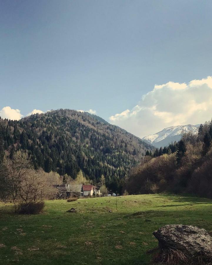 Cabana Sapte Breaza  Экстерьер фото